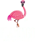 Flamingo Photographers